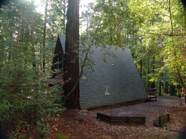 Nested in the Woods