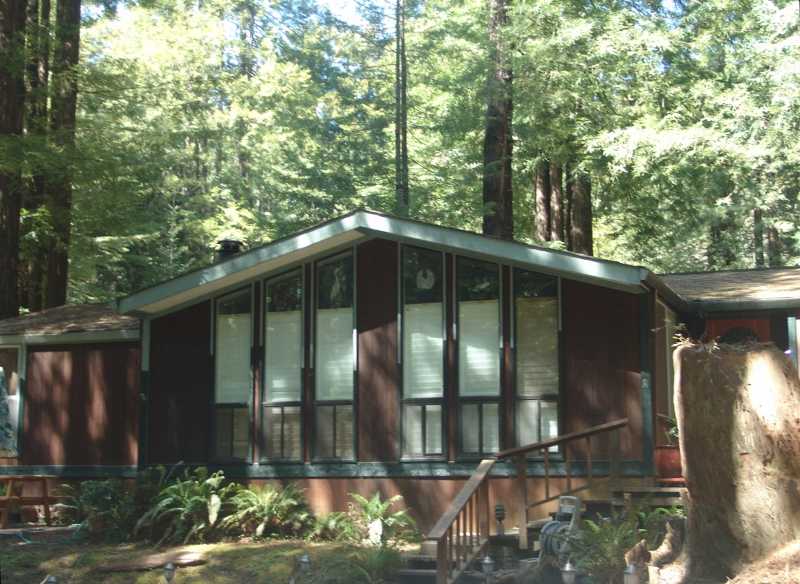 Enchanged Forrest Dwelling