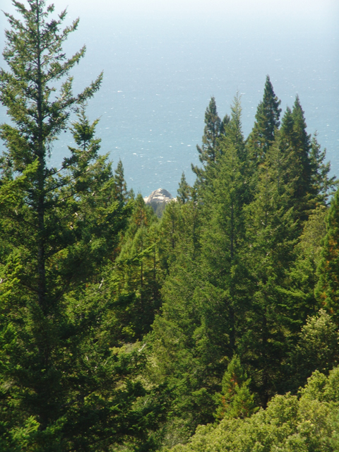Fish Rock