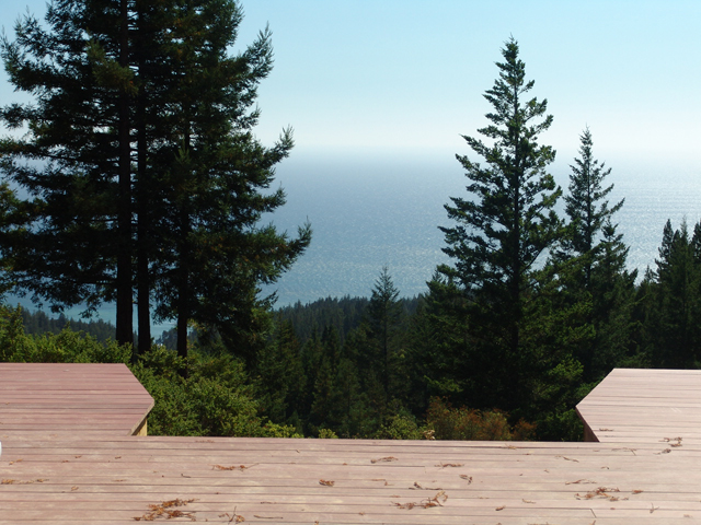 Trex Deck