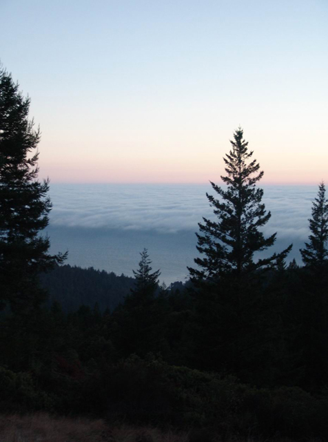 Fog@Bay