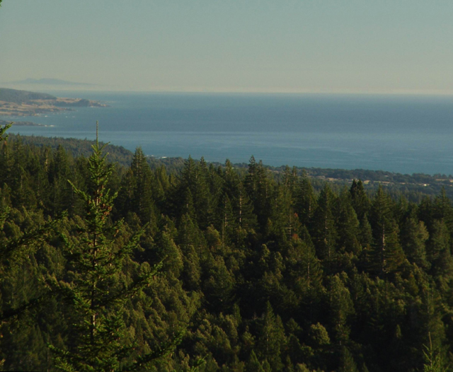 Salt Point