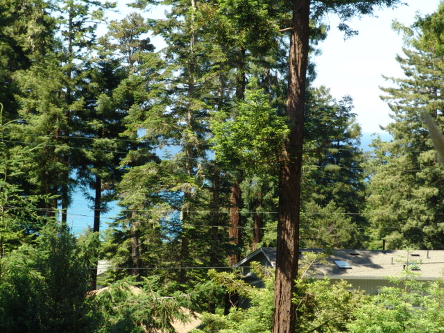 Neighborhood