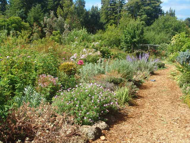 Gardener's Paradise