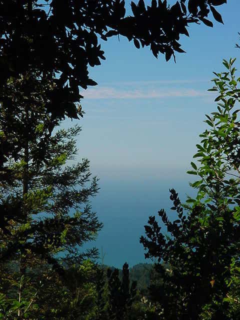 Schooner Gulch View