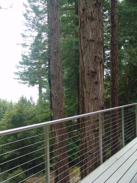 View To North