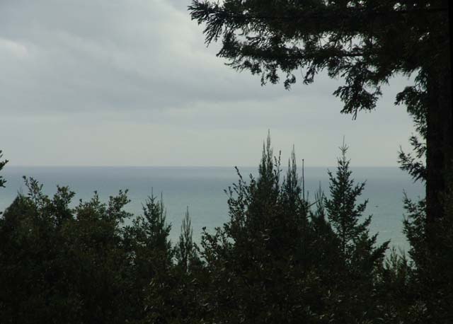 Ocean Veiw