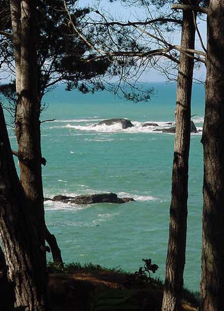 Almost Oceanfront
