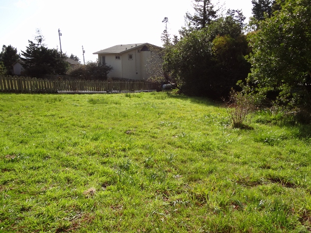 Grassy Lawn