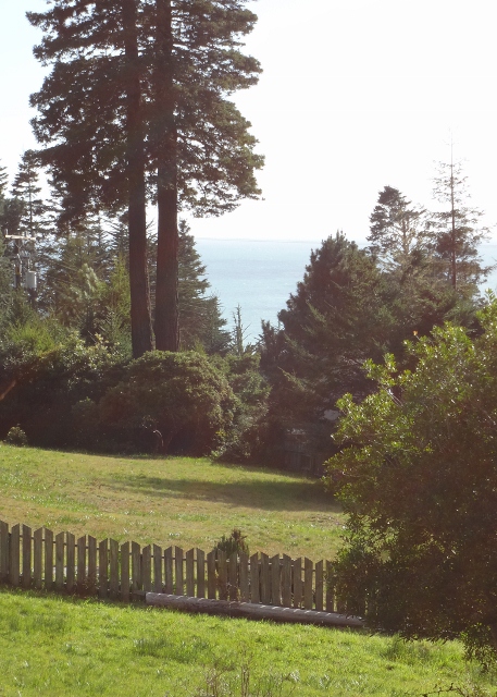 Plans, Permits, Ocean Access