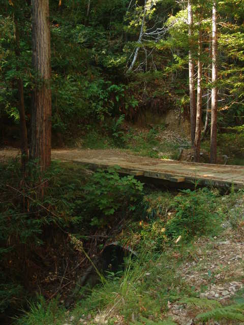 Bridge