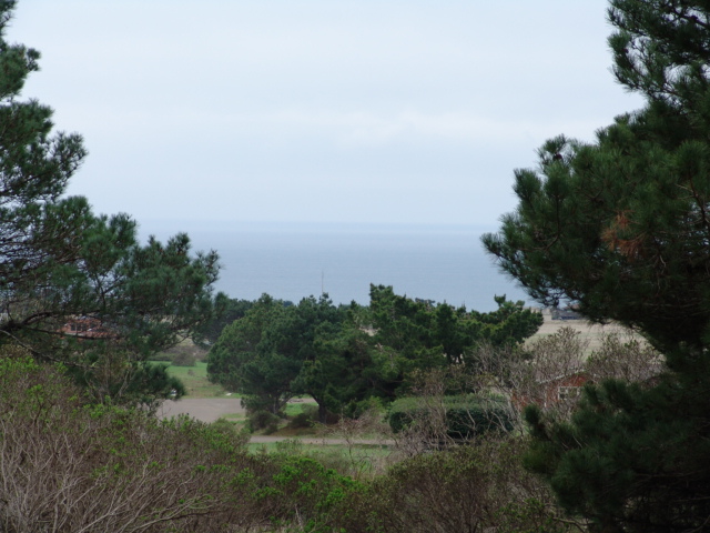 Ocean View