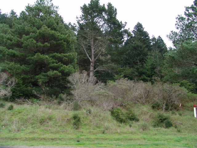 Sothern Corner