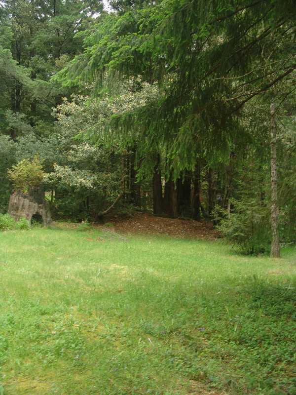 Pasture
