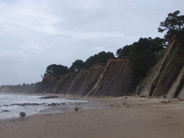 Looking North