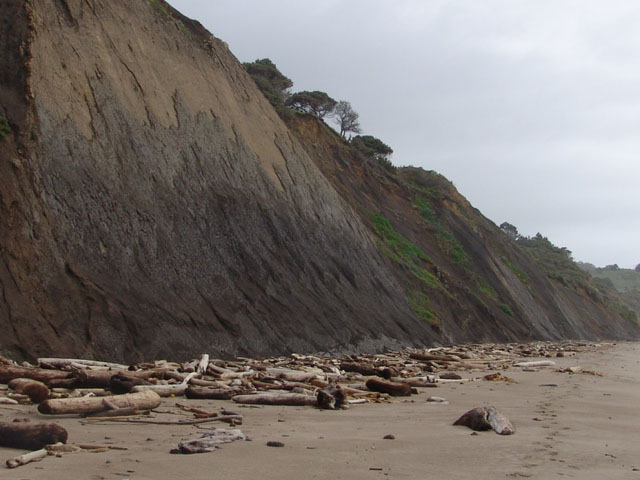 Looking South