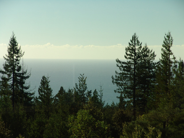 View from Window3
