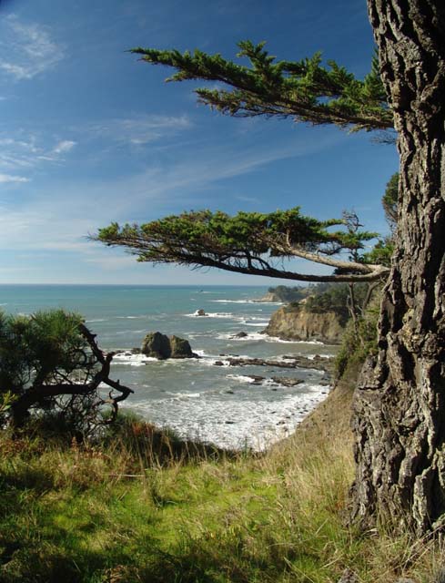Truly Oceanfront!