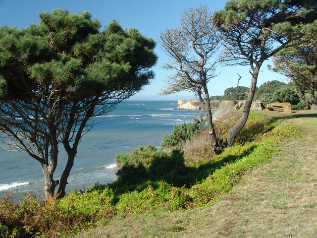 Looking North