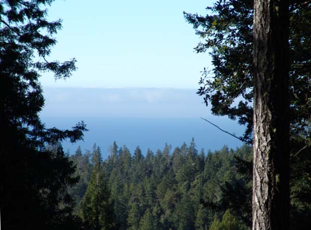 Ridgetop View