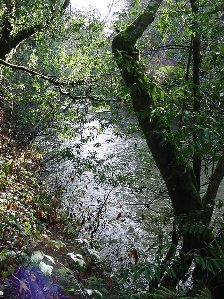 River Ranch